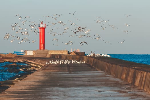 White seagulls flying against the red lighthouse