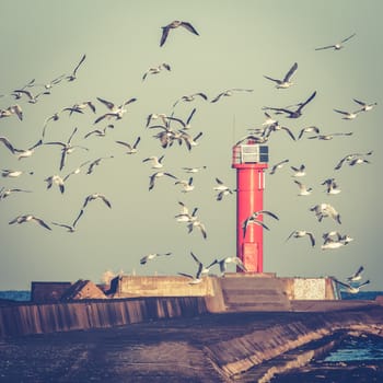 White seagulls flying against the red lighthouse