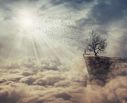 Young man standing on the peak of a cliff over clouds watching at a flock of birds flying from a strange, bare tree. The tree of death symbol, journey and discover.