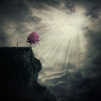 Young man standing on the peak of a cliff watching at a strange, purple tree that cast its leaves in the wind over valley. The tree of life symbol, journey and discover.