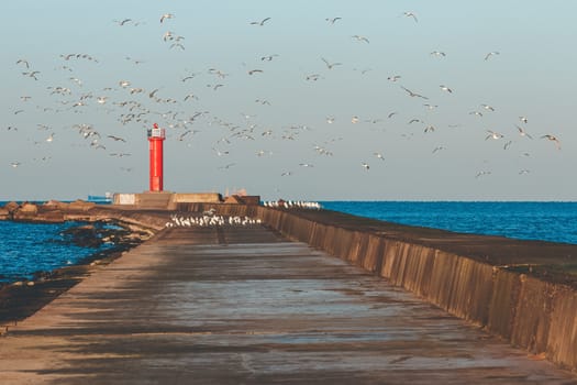 White seagulls flying against the red lighthouse