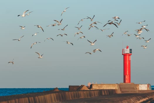 White seagulls flying against the red lighthouse