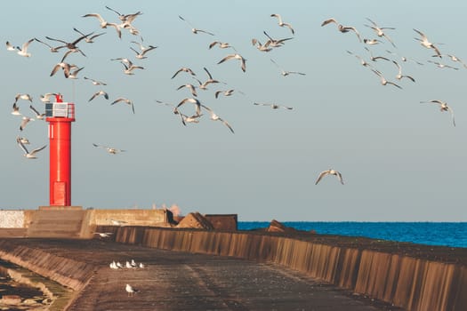 White seagulls flying against the red lighthouse
