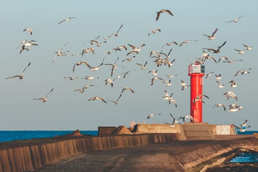 White seagulls flying against the red lighthouse