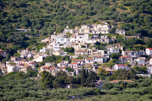 Village Cretan perched on a hill among olive trees and trees