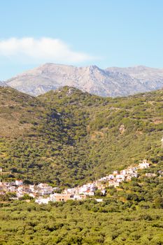 Village Cretan perched on a hill among the olive trees and trees with mountains in the background