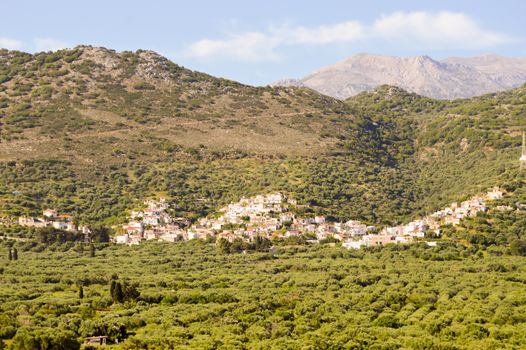 Village Cretan perched on a hill among the olive trees and trees with mountains in the background