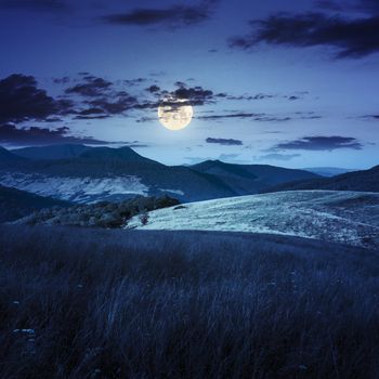 mountain summer landscape. trees near meadow and forest on hillside under  sky with clouds at night in full moon light