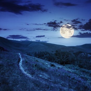 thin path near the lawn with purple flowers  in the shade of trees on a hillside at night in full moon light