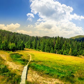 path with a wooden bridge near the lawn in the shade of pine trees of green forest in mountain