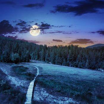 path with a wooden bridge near the lawn in the shade of pine trees of green forest in mountain at night in full moon light