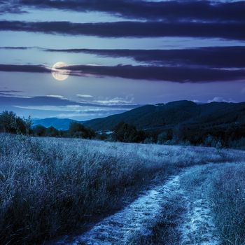 road going into mountains and passes through the green shaded forest in the field at night in full moon light