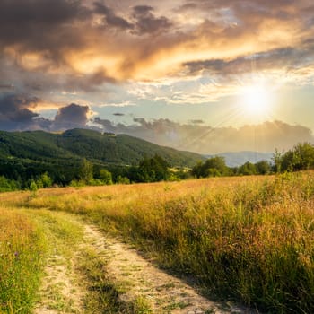 road going into mountains and passes through the green shaded forest in the field at sunset