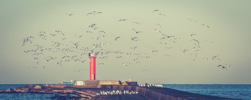 White seagulls flying against the red lighthouse
