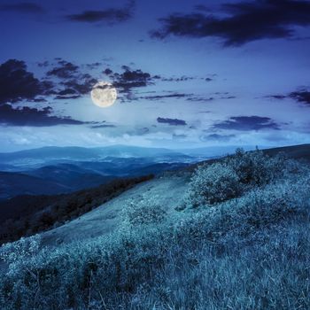 mountain landscape. valley near the forest on the mountain slope at the top of the hill at night in full moon light