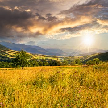 Stack of hay on a green meadow in the mountains in the morning under a blue summer sky at sunset