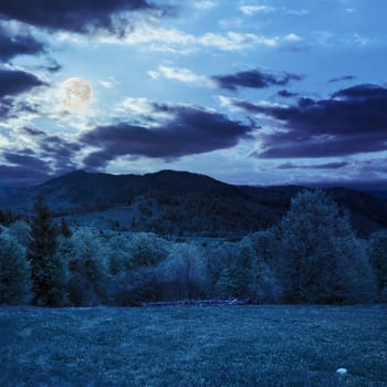 mountain summer landscape. trees near meadow and forest on hillside under  sky with clouds at night in full moon light