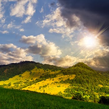 valleys near the forest on slopes in mountains at sunset