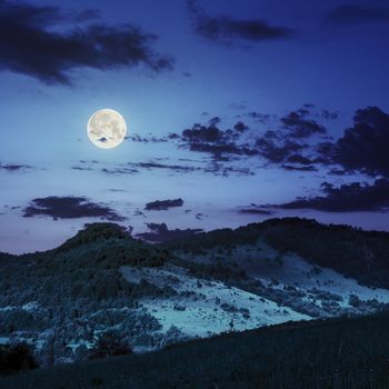 valleys near the forest on slopes in mountains at night in full moon light