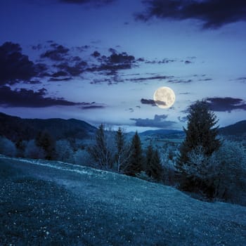 mountain summer landscape with pine trees near meadow and forest on hillside under  sky with clouds at night in full moon light