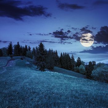 calm summer landscape in mountains. awesome coniferous forest near meadow  on hillside under epic sky with clouds at night in full moon light