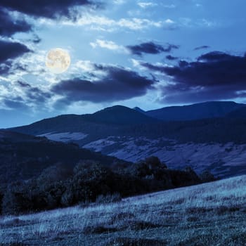 mountain summer landscape with trees near meadow and forest on hillside under  sky with clouds  at night in full moon light