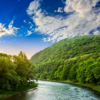 river flowing between green mountains through the forest