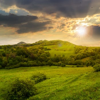 mountain summer landscape. trees near meadow and forest on hillside under  sky with clouds