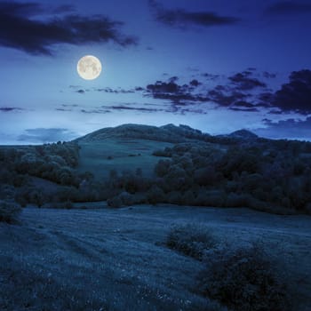 mountain summer landscape. trees near meadow and forest on hillside under  sky with clouds