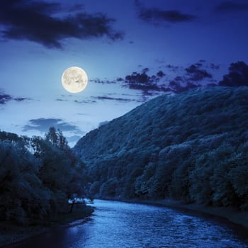 river flowing between green mountains through the forest at night in fool moon light