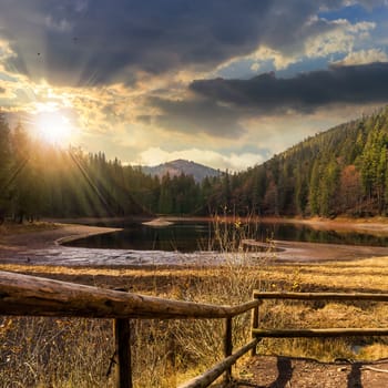 view on lake near the pine fores in mountains at sunset