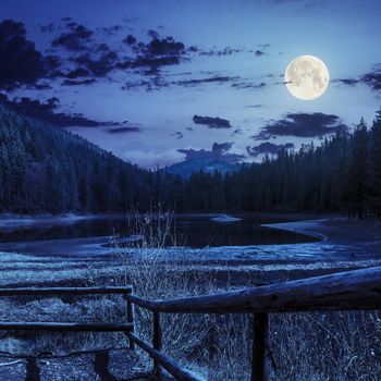 view on lake near the pine fores in mountains at night in full moon light