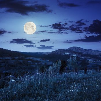 rural landscape. village on the hillside. forest on the mountain light fall on clearing on mountains at night in full moon light