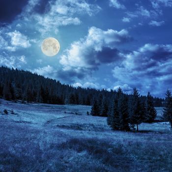 slope of mountain range with coniferous forest at night in full moon light