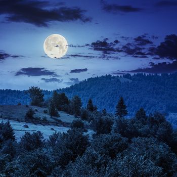 summer landscape. fence near the meadow path on the hillside at night in full moon light