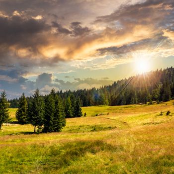 slope of mountain range with coniferous forest and village at sunset