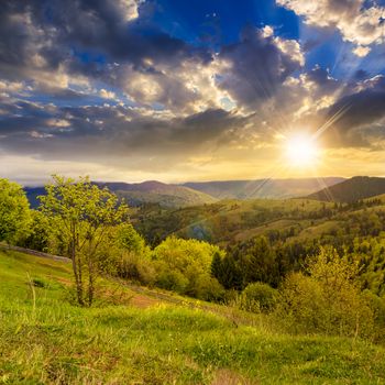 summer landscape. fence near the meadow path on the hillside. forest in fog on the mountain at sunset