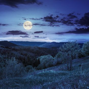summer landscape. fence near the meadow path on the hillside. forest in fog on the mountain  at night in full moon light