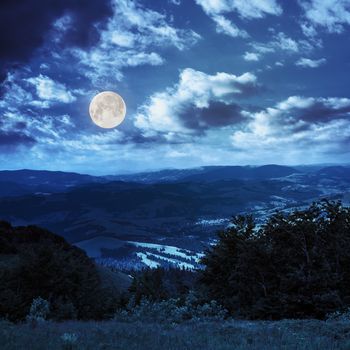 summer landscape. village in valley at the mountain foot is seen behind the trees on mountain slope at night in full moon light