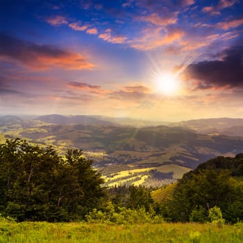 summer landscape. village in valley at the mountain foot is seen behind the trees on mountain slope at sunset