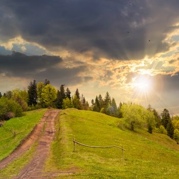 wide trail with a wooden fence near the lawn in green forest with pine trees  in mountains at sunset