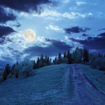 wide trail with a wooden fence near the lawn in green forest with pine trees  in mountains at night in full moon light