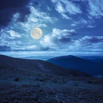 wild grass on a slope of a high mountain at night in full moon light