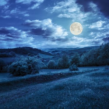 mountain summer landscape. pine trees near meadow and forest on hillside under  sky with clouds at night in full moon light