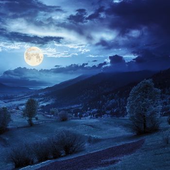 summer landscape. fence near the meadow path on the hillside. forest in fog on the mountain at night in full moon light