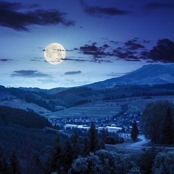 asphalt road going to village, passes through the green shaded forest in mountains at night in full moon light