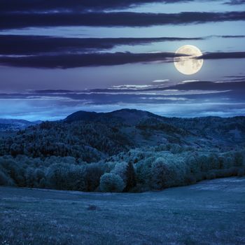 mountain summer landscape. pine trees near meadow and forest on hillside under  sky with clouds at night in full moon light