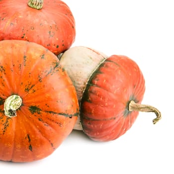 ripe pumpkin isolated on white background