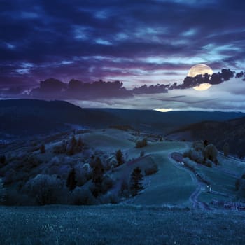summer landscape. fence near the meadow path on the hillside. forest in fog on the mountain at night in full moon light