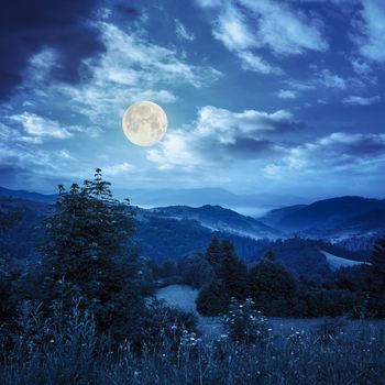 summer landscape. village on the hillside. forest on the mountain light fall on clearing on mountains at night in full moon light